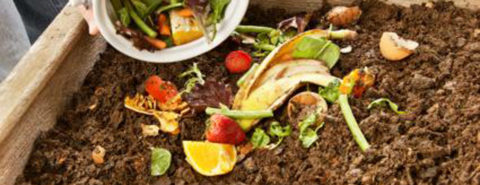 Distribution gratuite de compost @ Route de Domazan